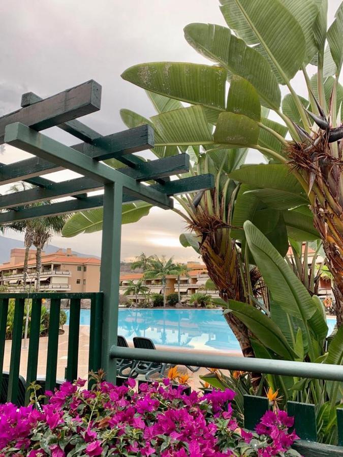 Piso Jardines Del Teide En El Puerto De La Cruzアパートメント エクステリア 写真
