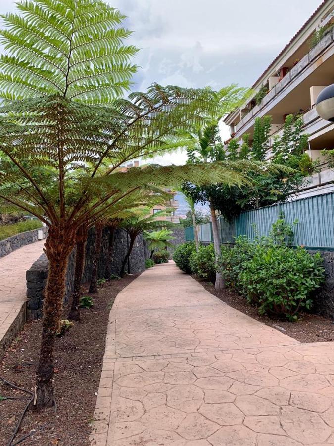 Piso Jardines Del Teide En El Puerto De La Cruzアパートメント エクステリア 写真